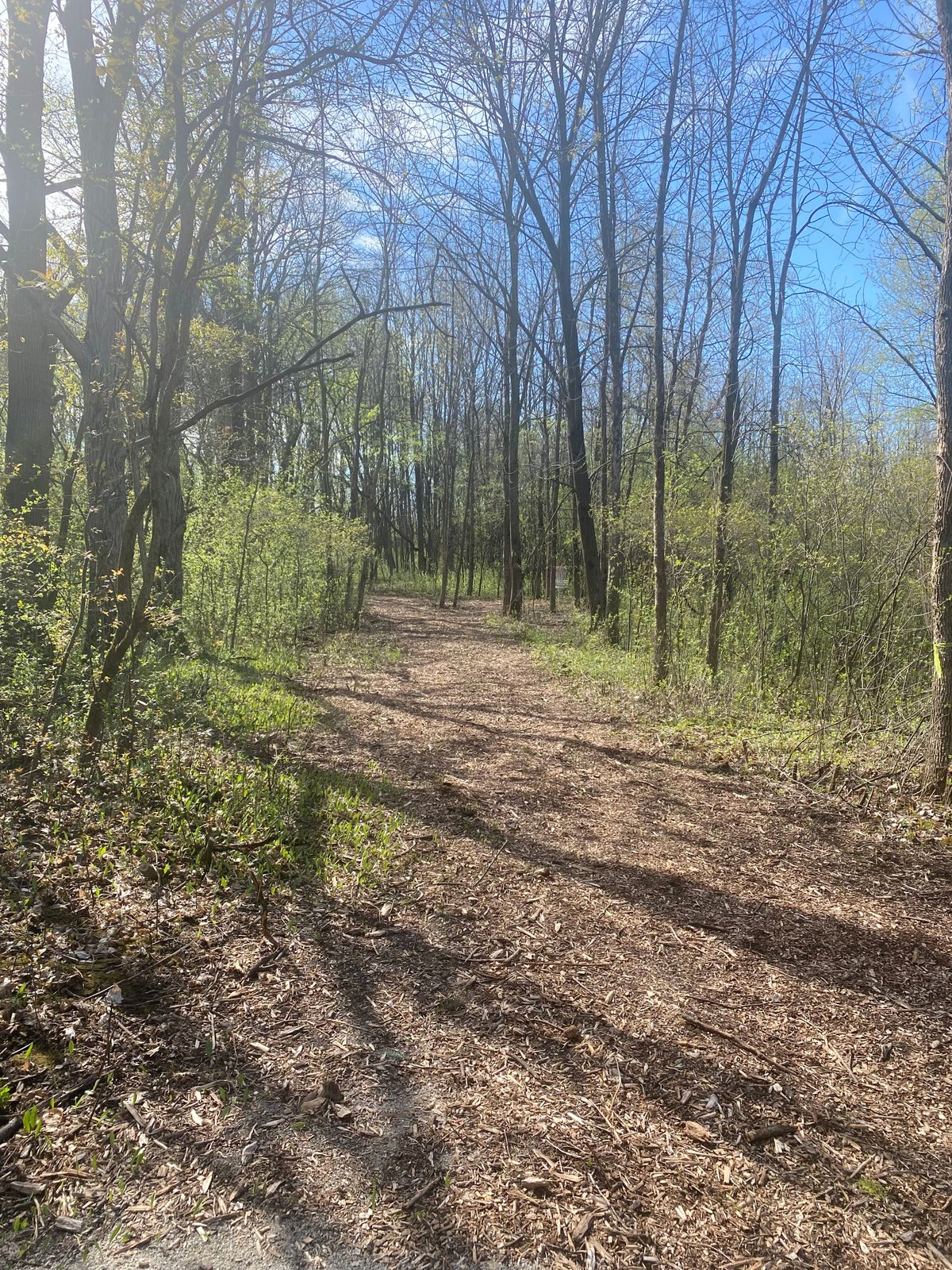 Hole 3 tee
