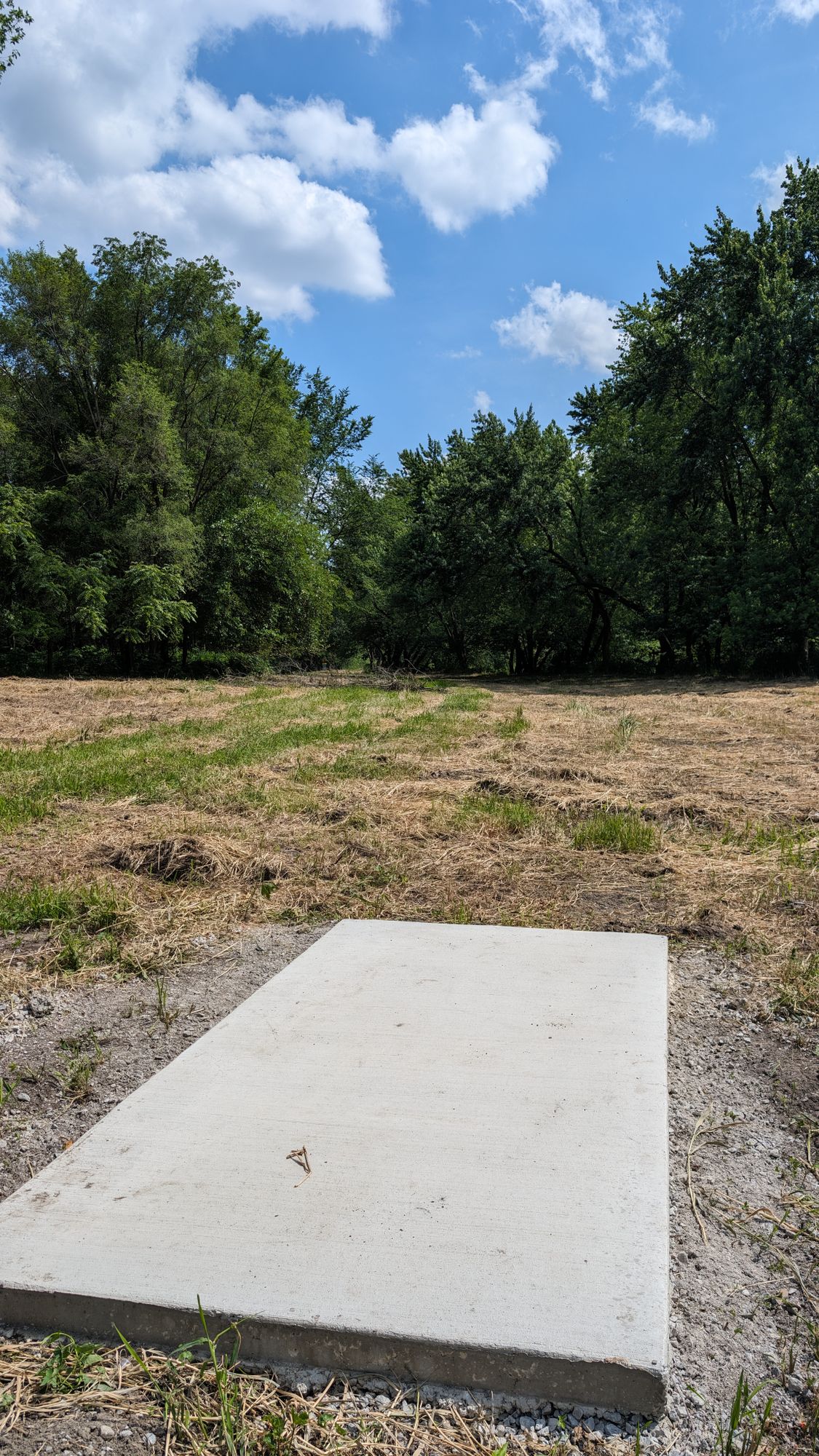 9 Tee, facing baskets