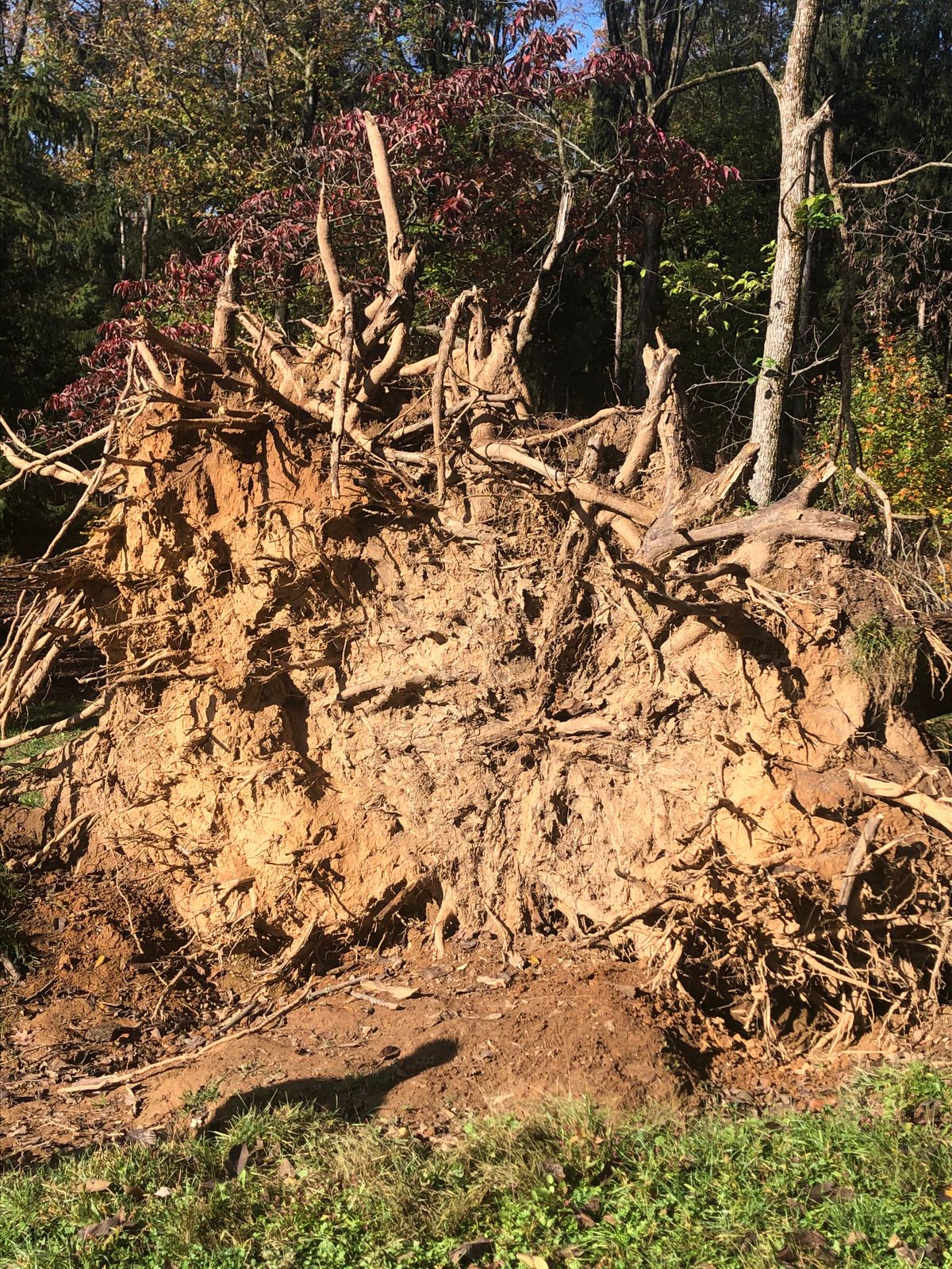 Last week’s storm