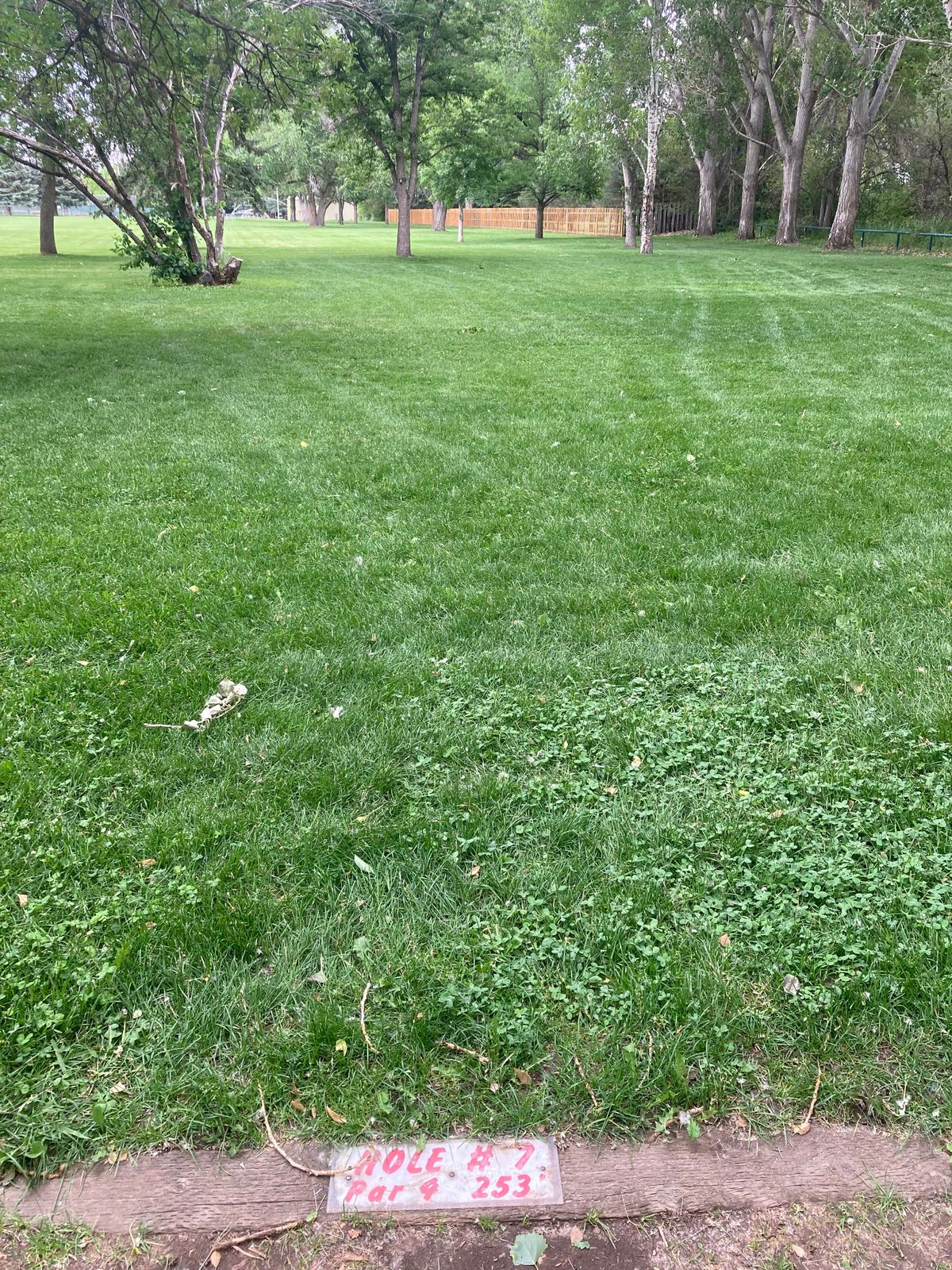 Tee 7