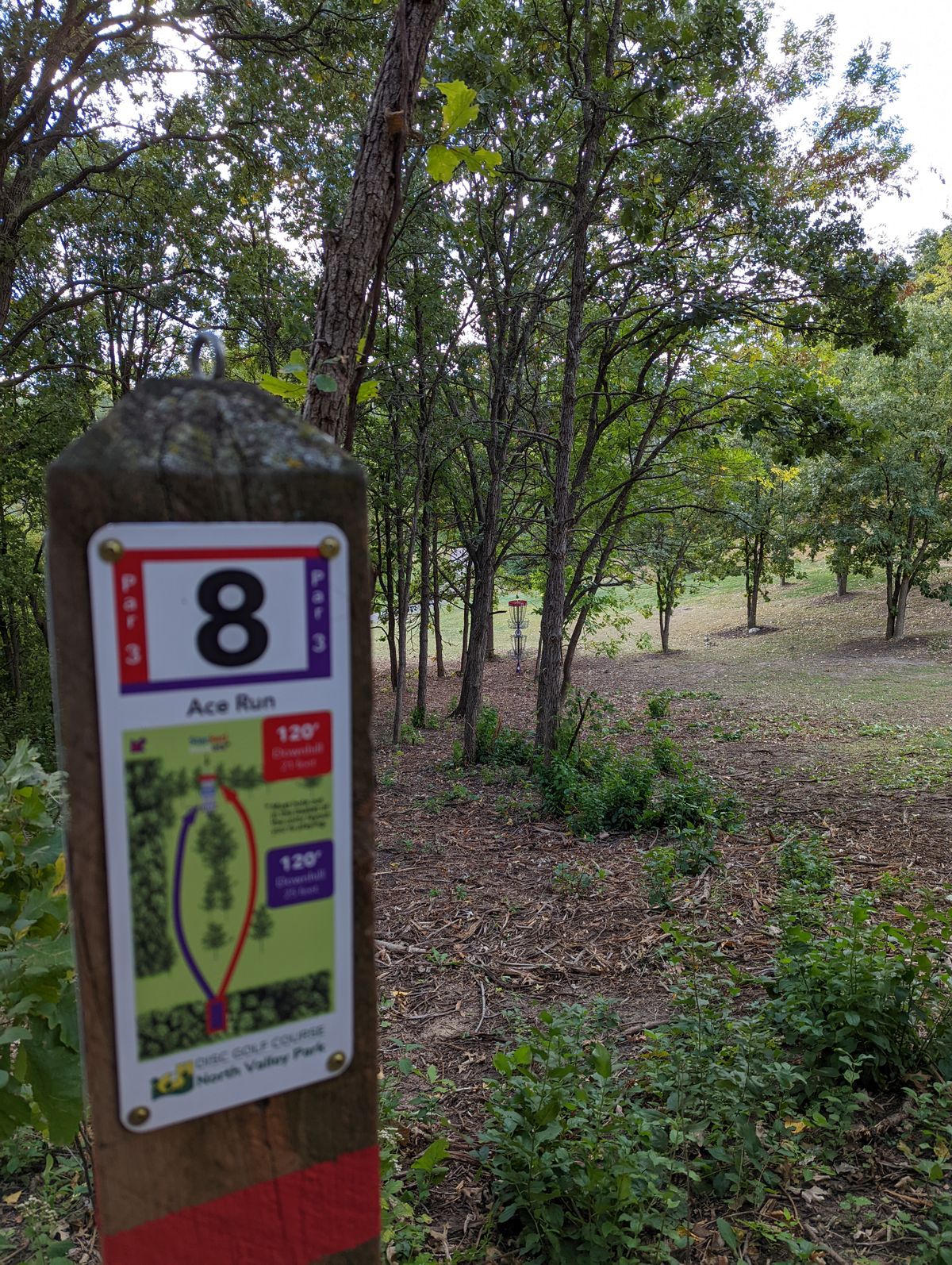 Hole 8 red/purple tee. Basket is two-tiered. Blue/red basket was on top of the white/purple basket.