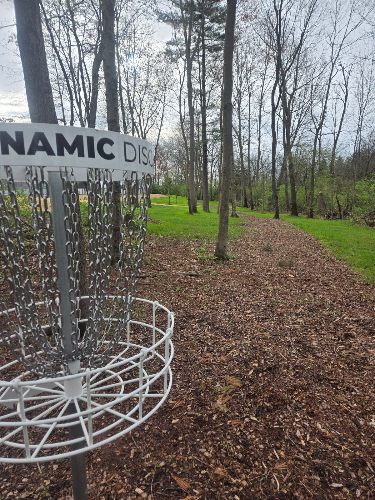Hole 6