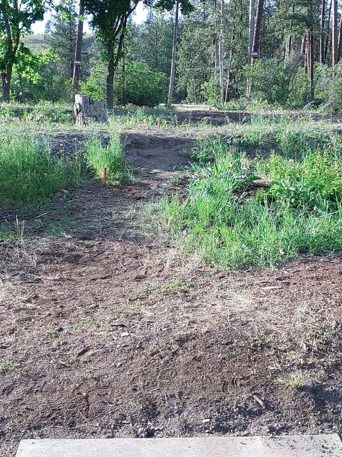 Hole 18 fairway. Double Mando.