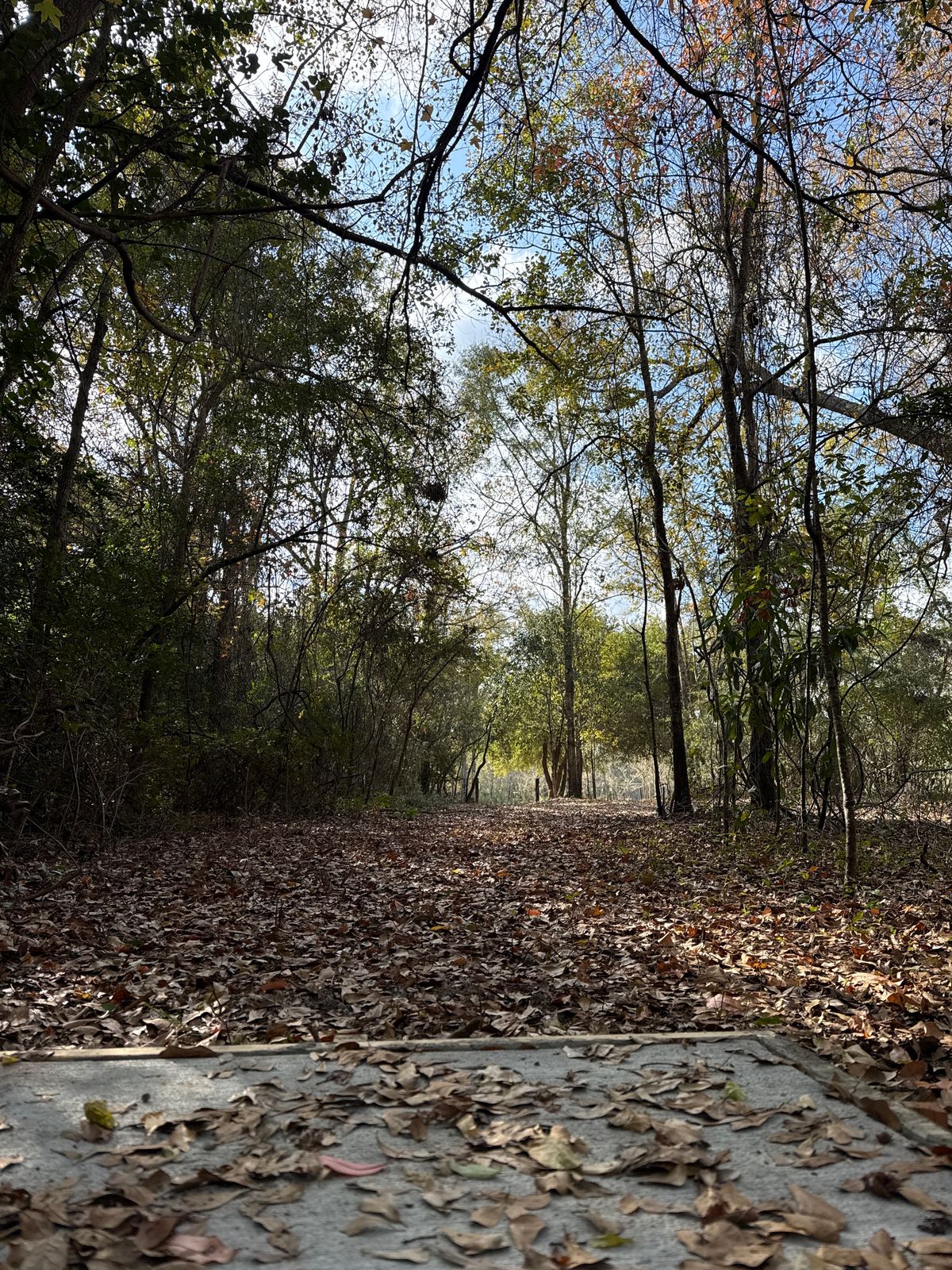 Hole 17 fairway from tee pad