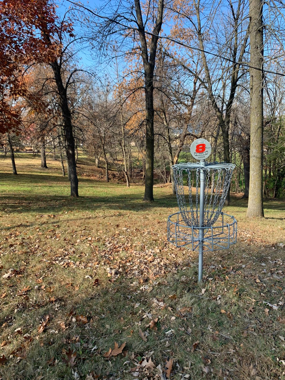 View of hole 8 basket.