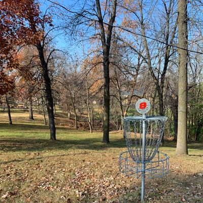 View of hole 8 basket.