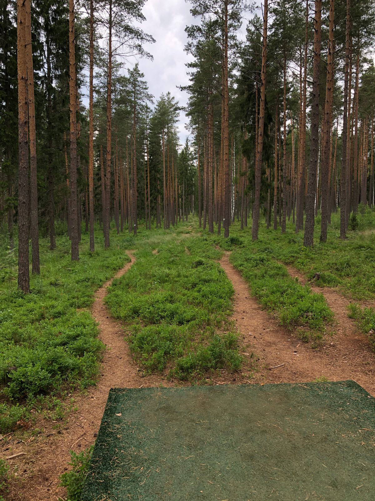 Hole 7, 222m, par 5