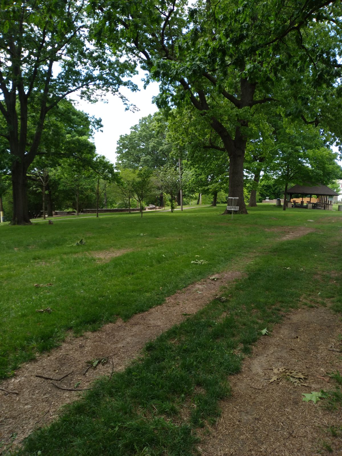 #4🥏🌳