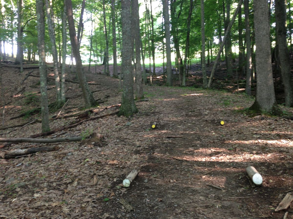 Hole 15