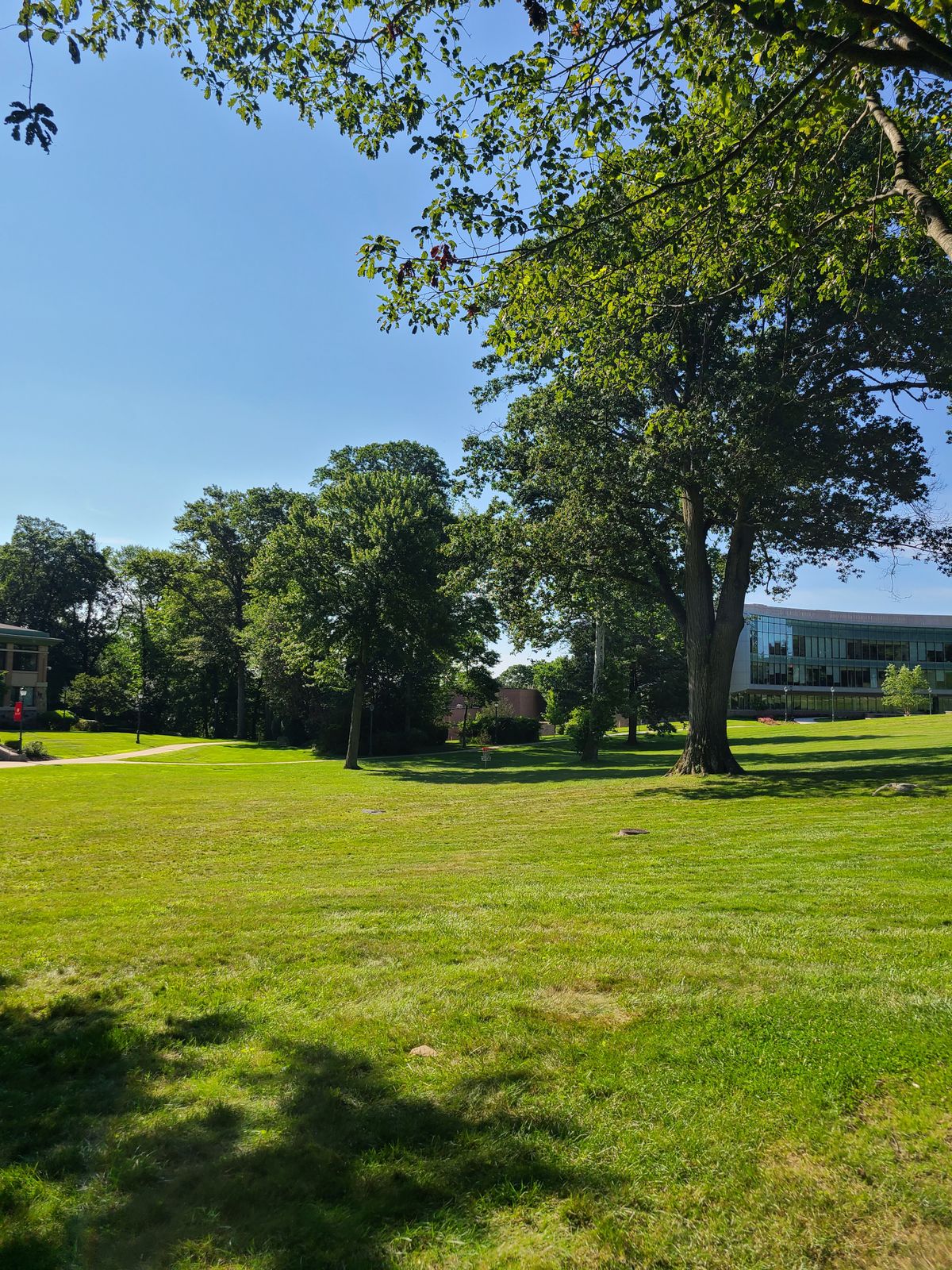 Hole 6