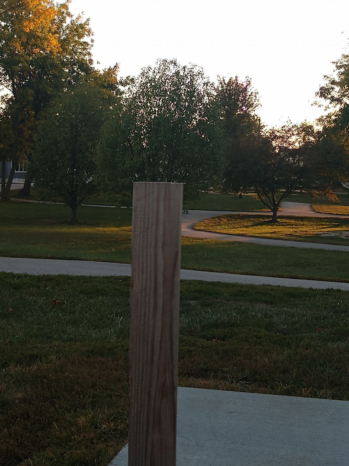 #9. U can see the pin below the branches