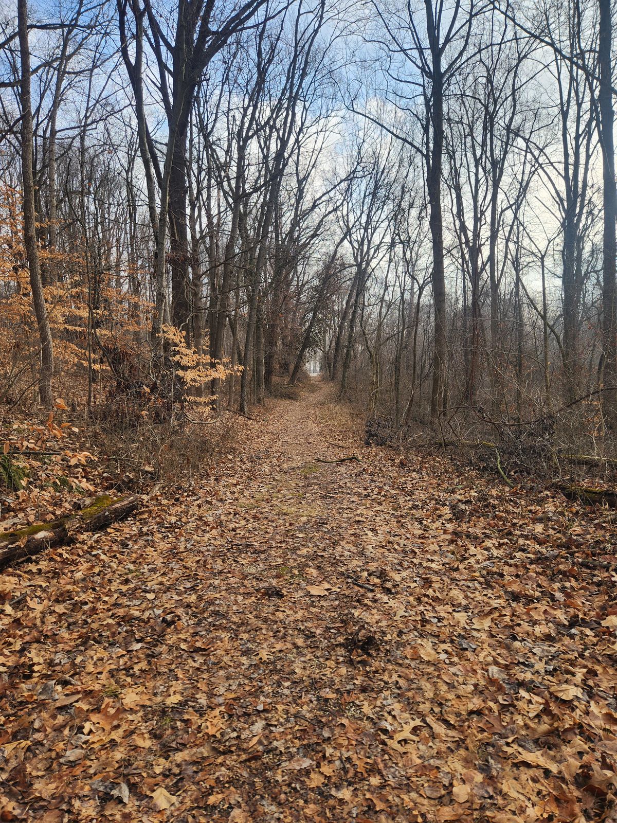 Hole 6 - par 4, 476 ft tunnel. 200 ft to tree on left leaning over fairway.