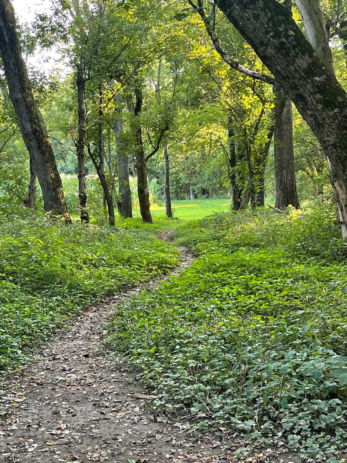 Hole 3 from the tee