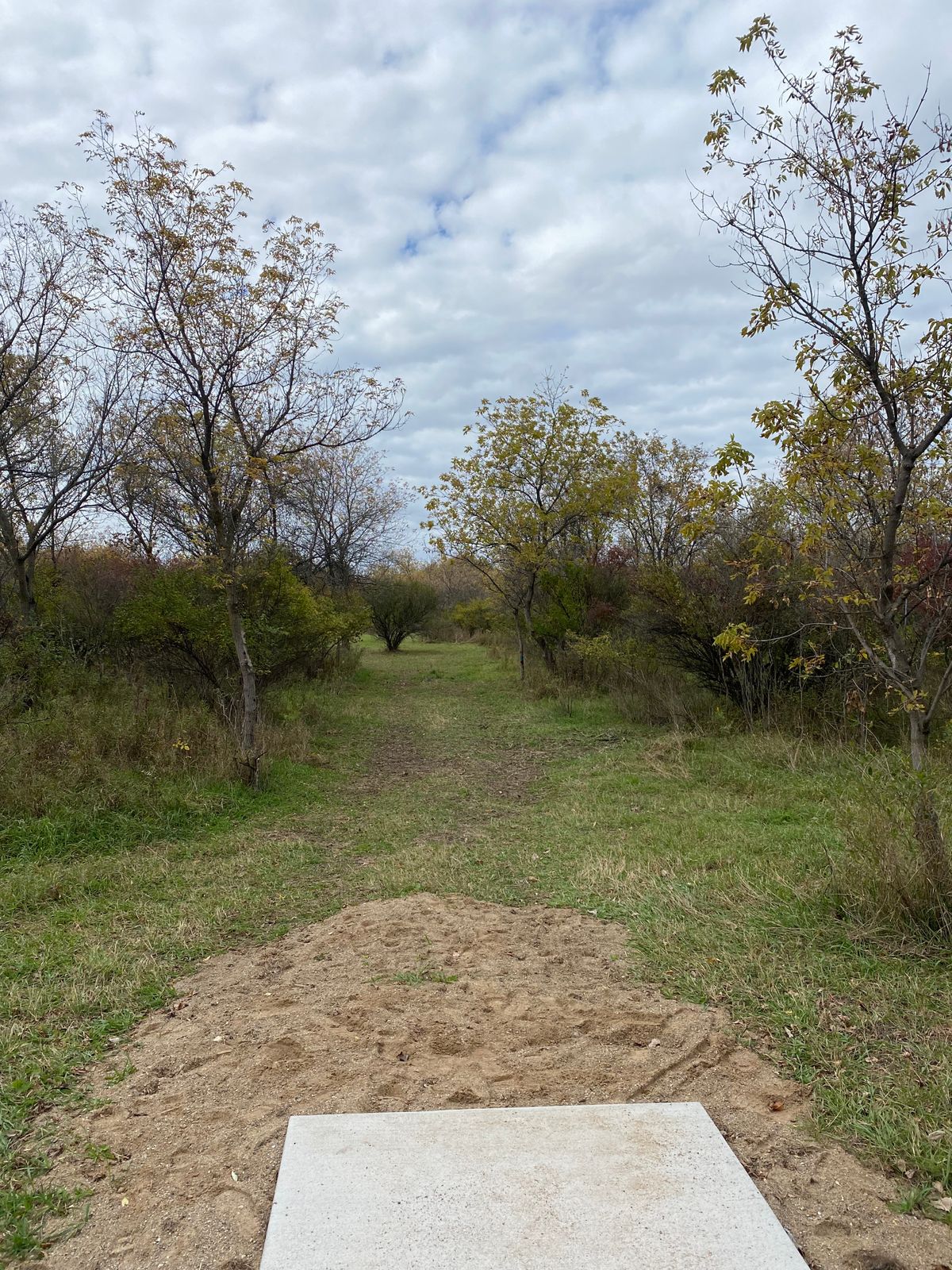 Hole 15 tee shot. Basket behind bushes in back