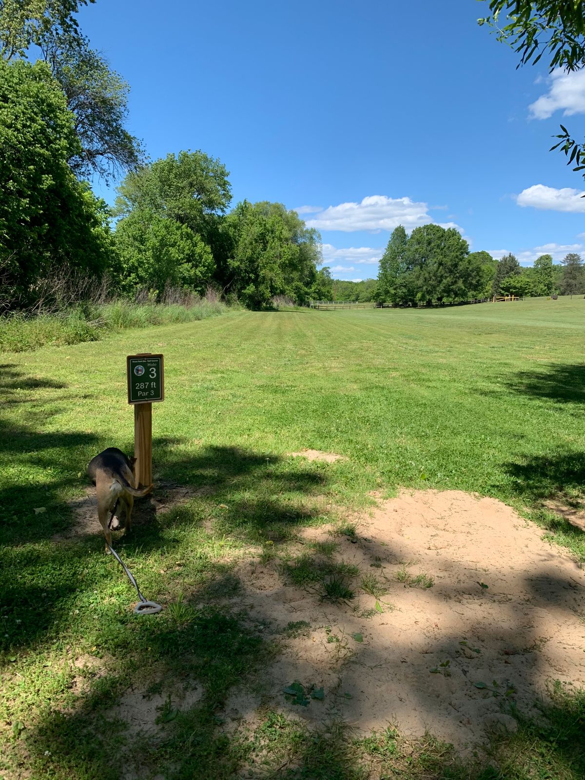 Hole 3 - Parallel to Hole 1, but on the other side of the creek.