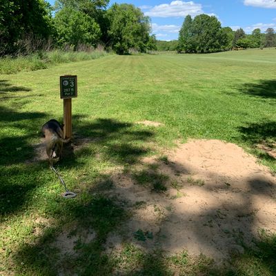 Hole 3 - Parallel to Hole 1, but on the other side of the creek.