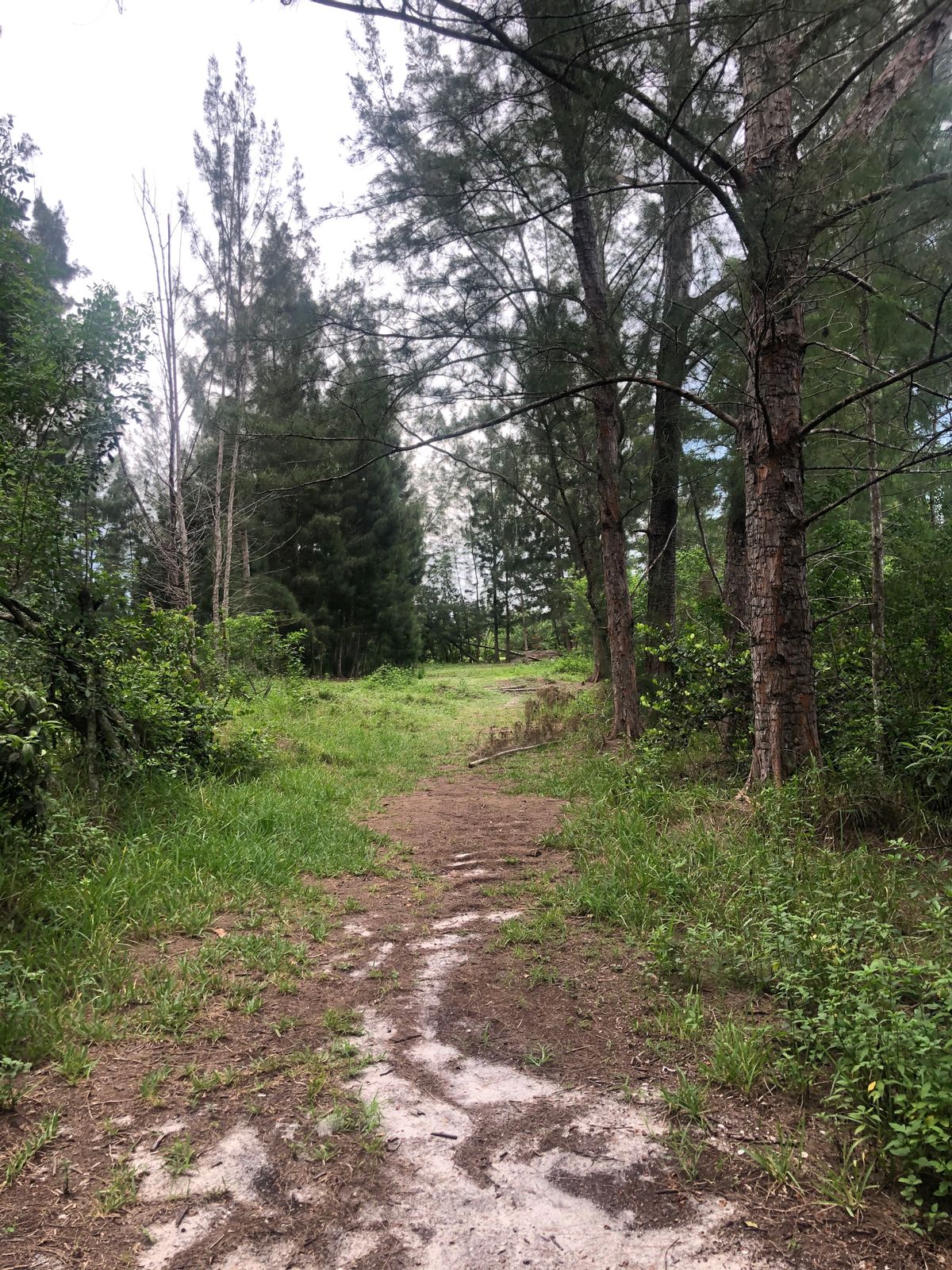 Hole 18