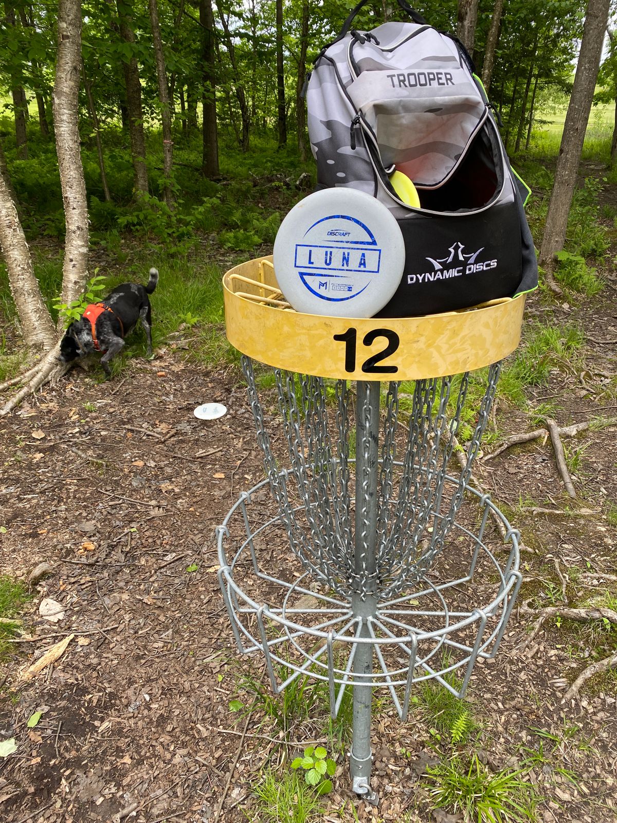 Just missed an ace. 12
