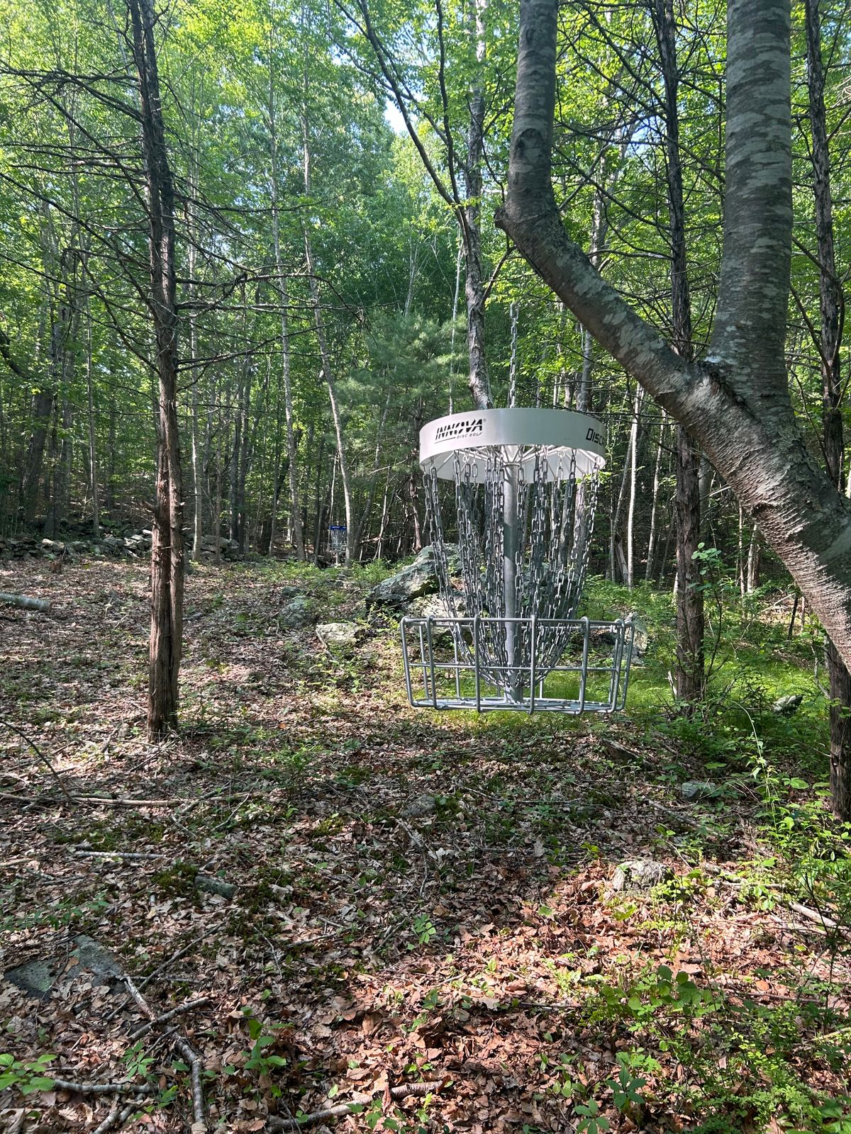 Preston Ridge Vineyard Disc Golf