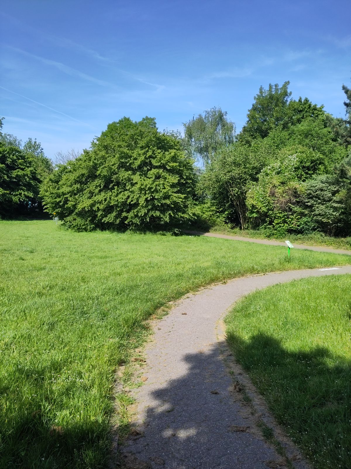 Hole 7
