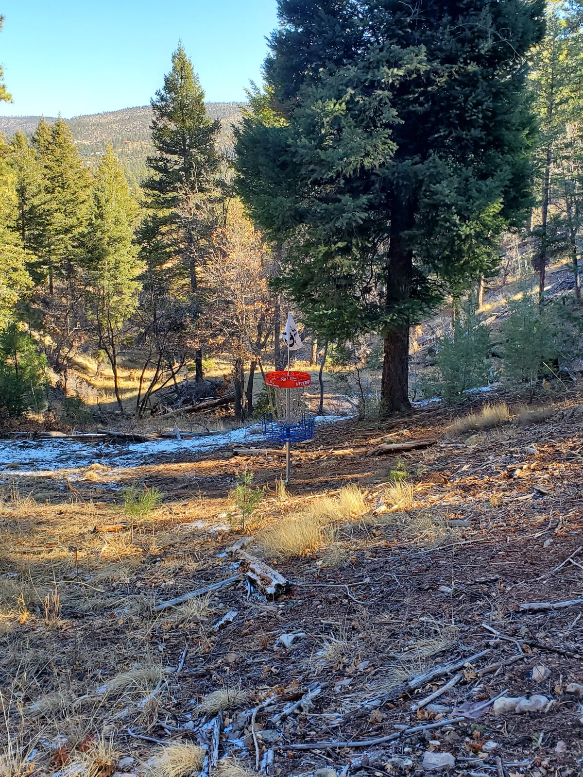 Hole 8 from my tee shot