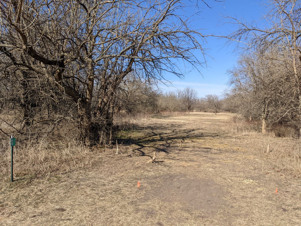 Hole #11