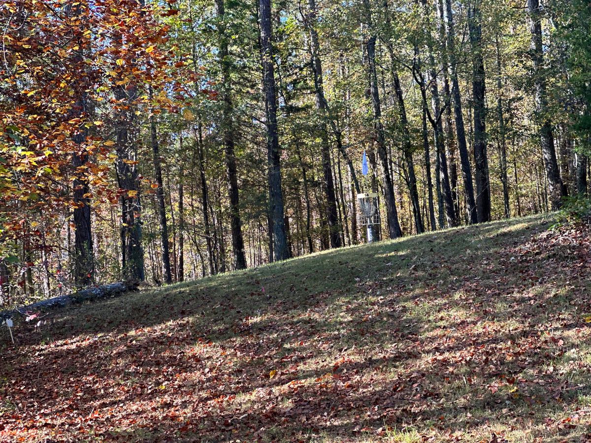 From Landing Zone
To Basket
Zoomed