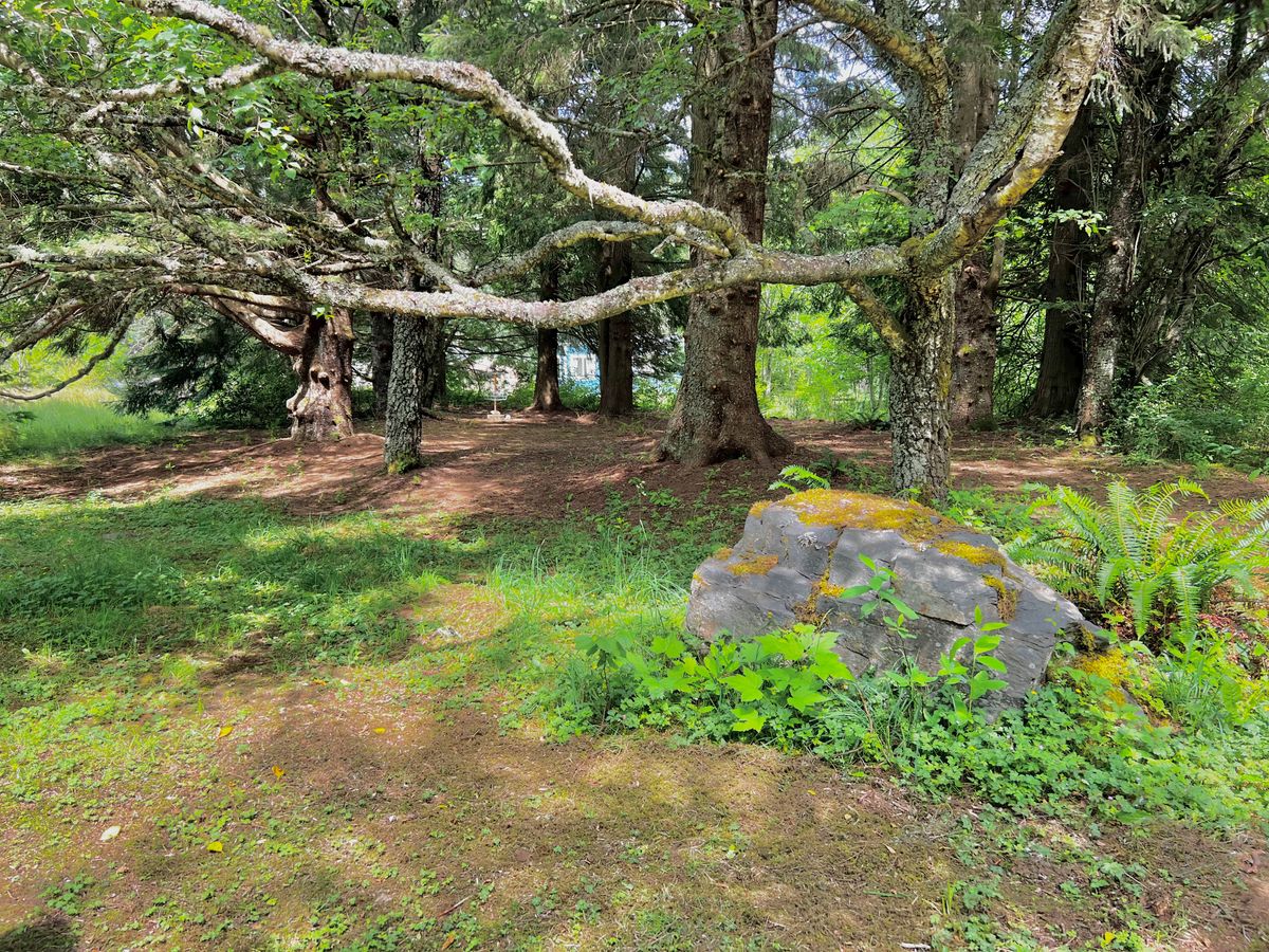Wooded green of 6