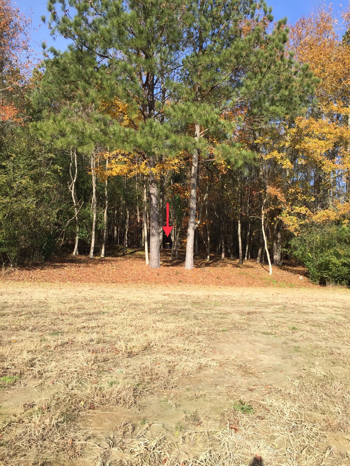Hole #8 Approach