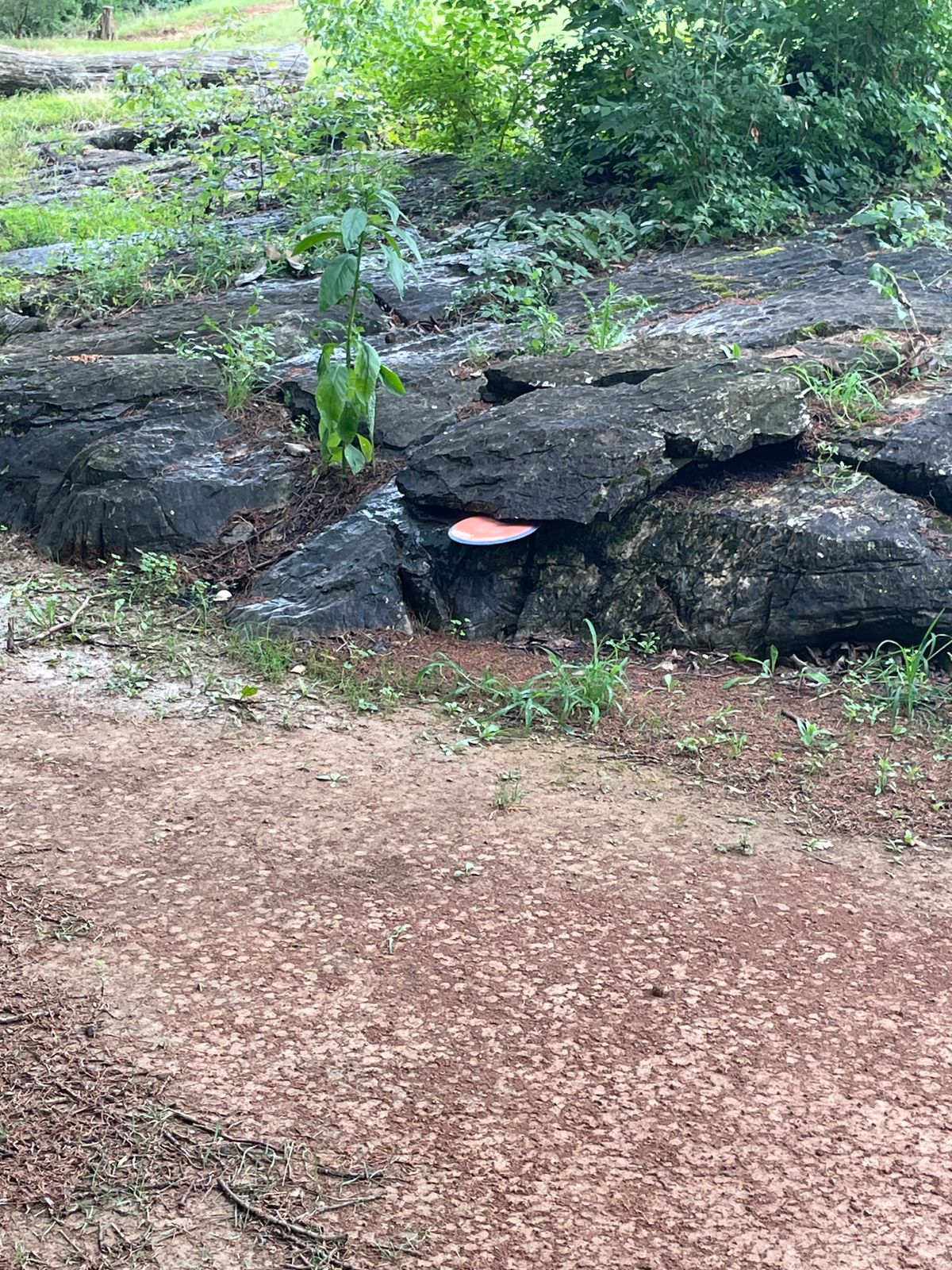 My buddy sliced a rock.