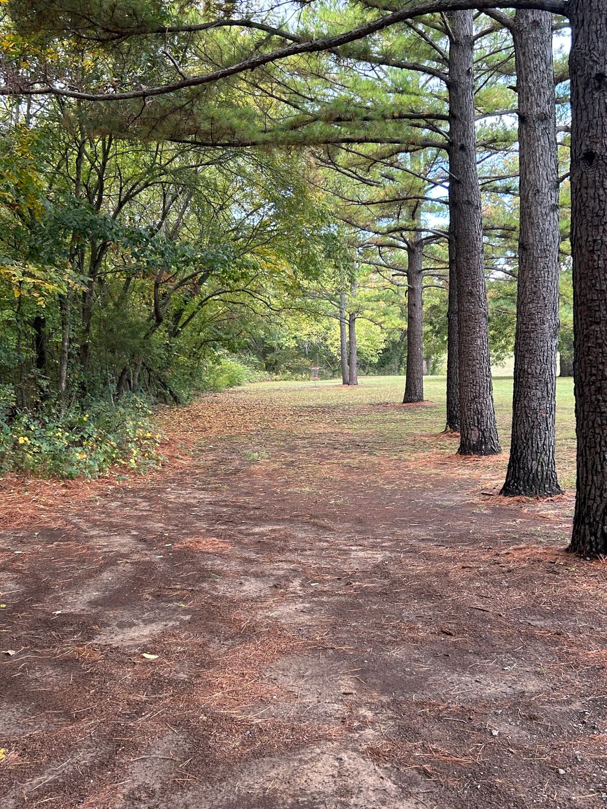 Hole 8 A and basket