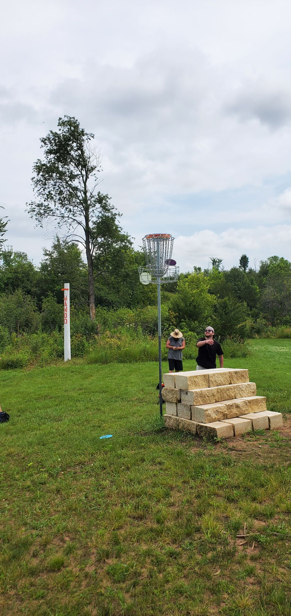 A second fun suspended basket on short tee hole 13!