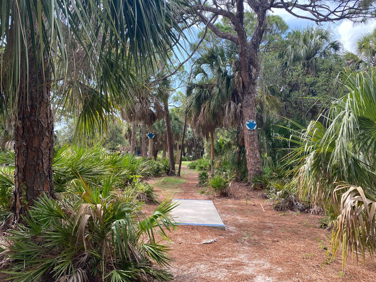 Hole 15