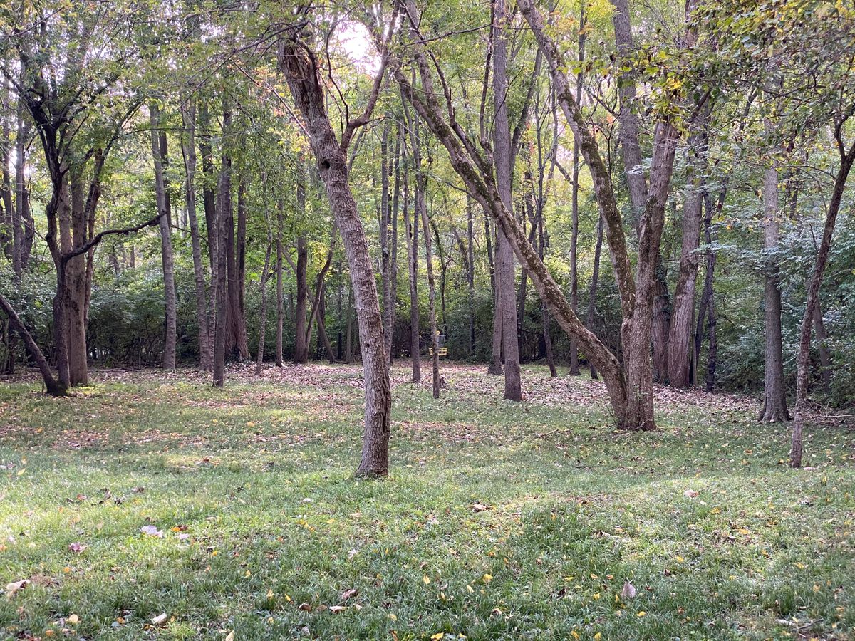 Hole 16 basket