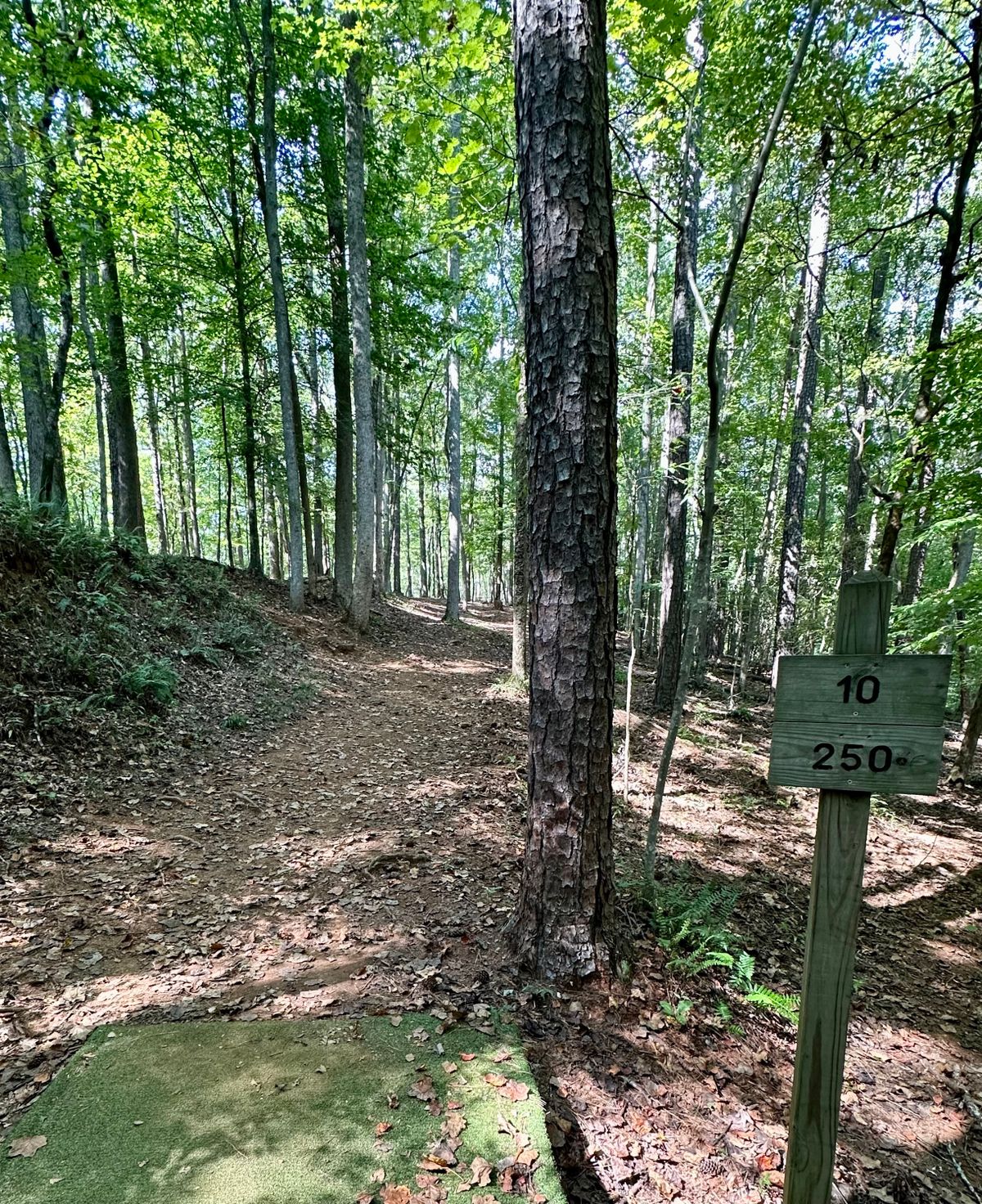 Hole 10