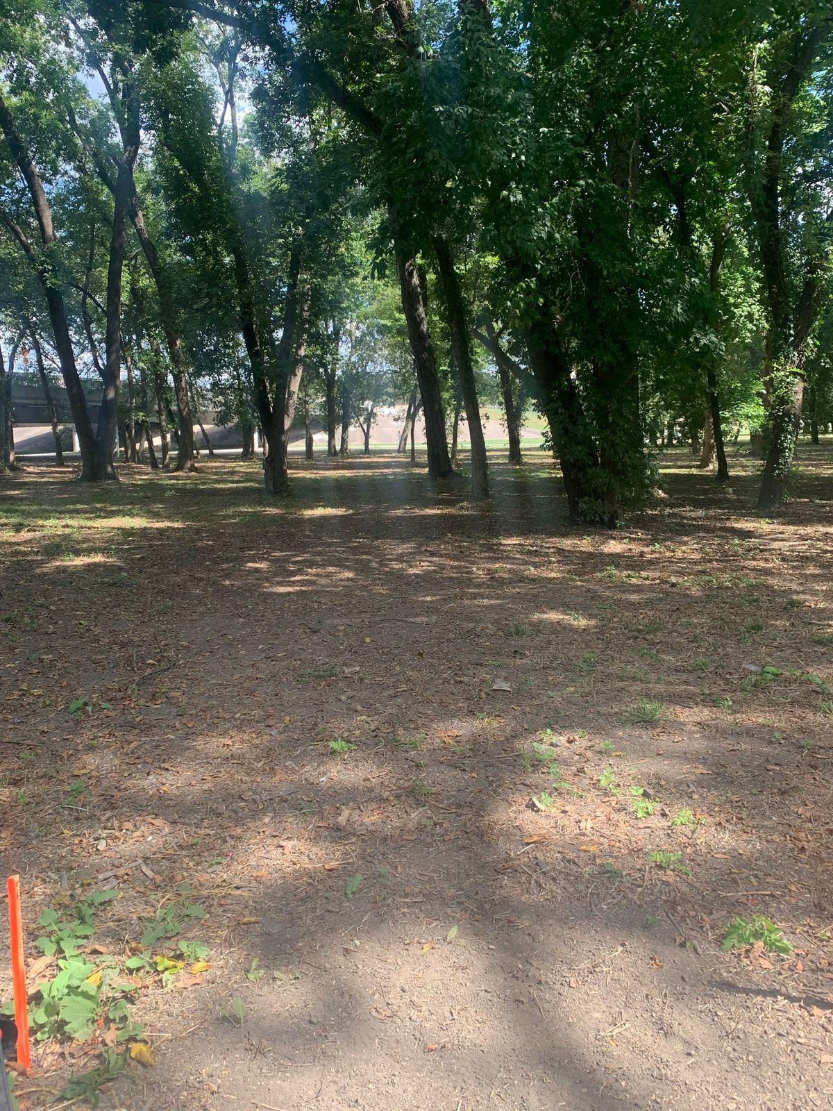Hole #7 tee