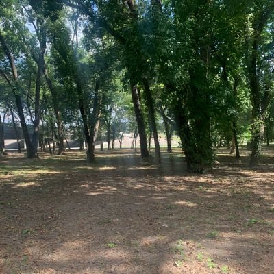 Hole #7 tee