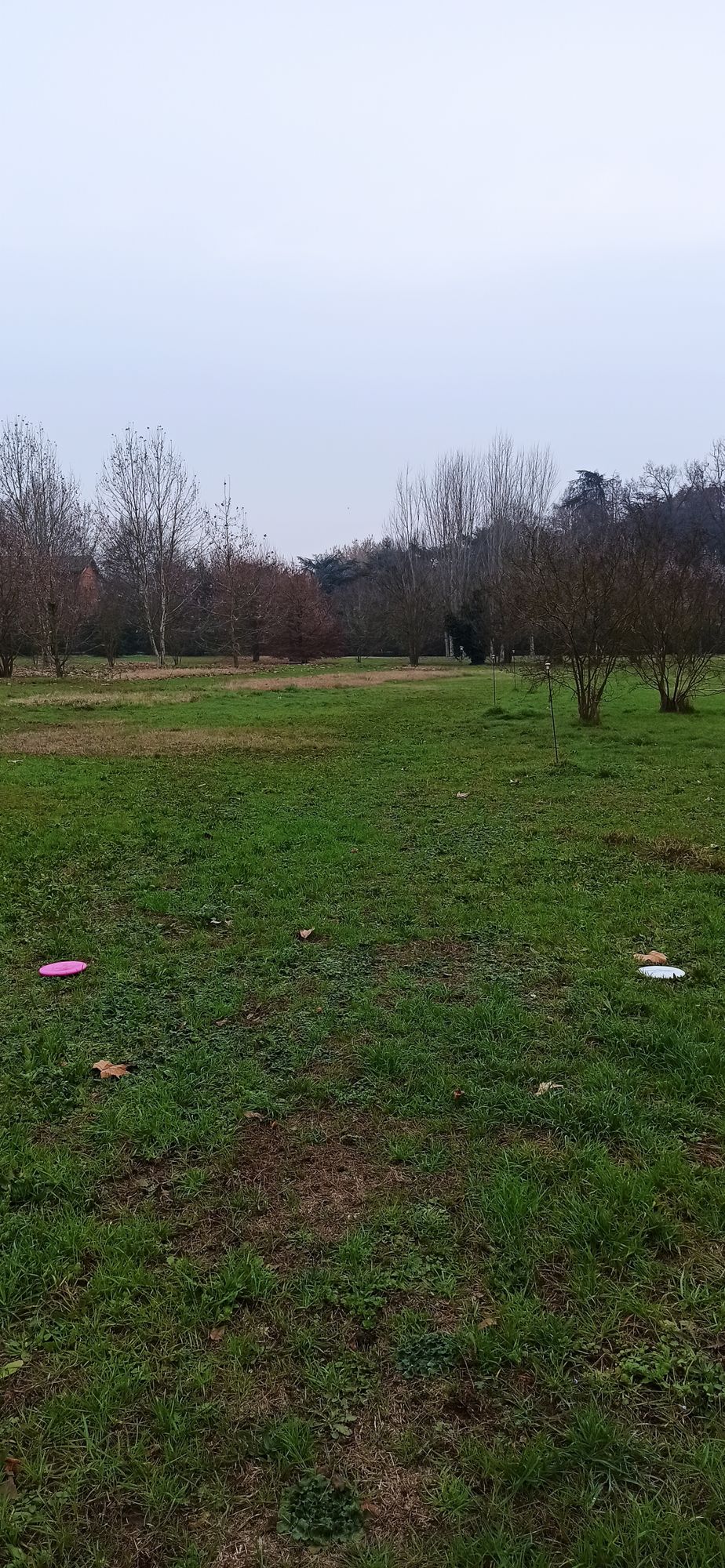 Hole 11 tee spot