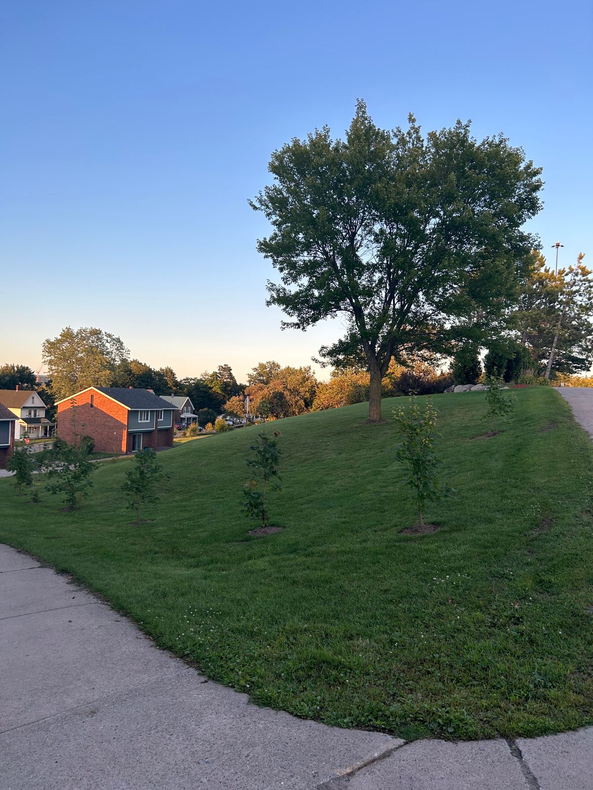 Hole 6- cliff side