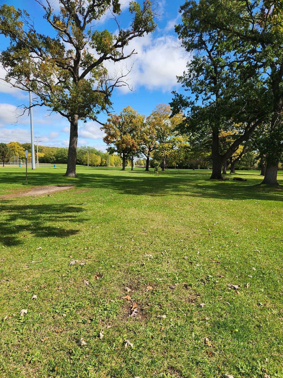 Hole 1 long tee
