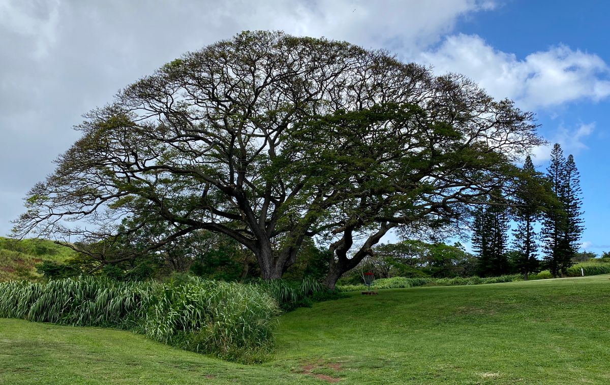 Hole 6