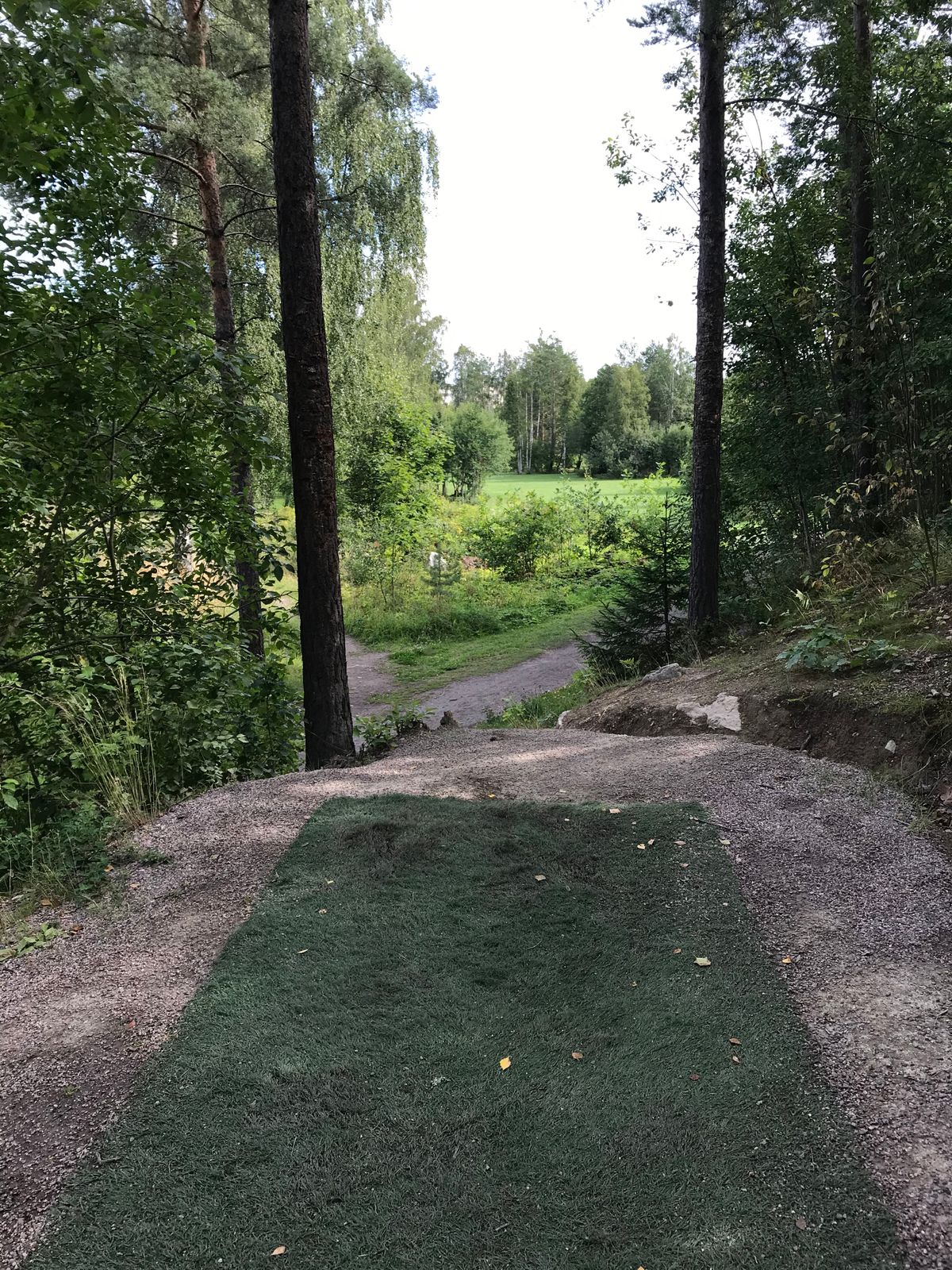 Hål 14 bakre tee