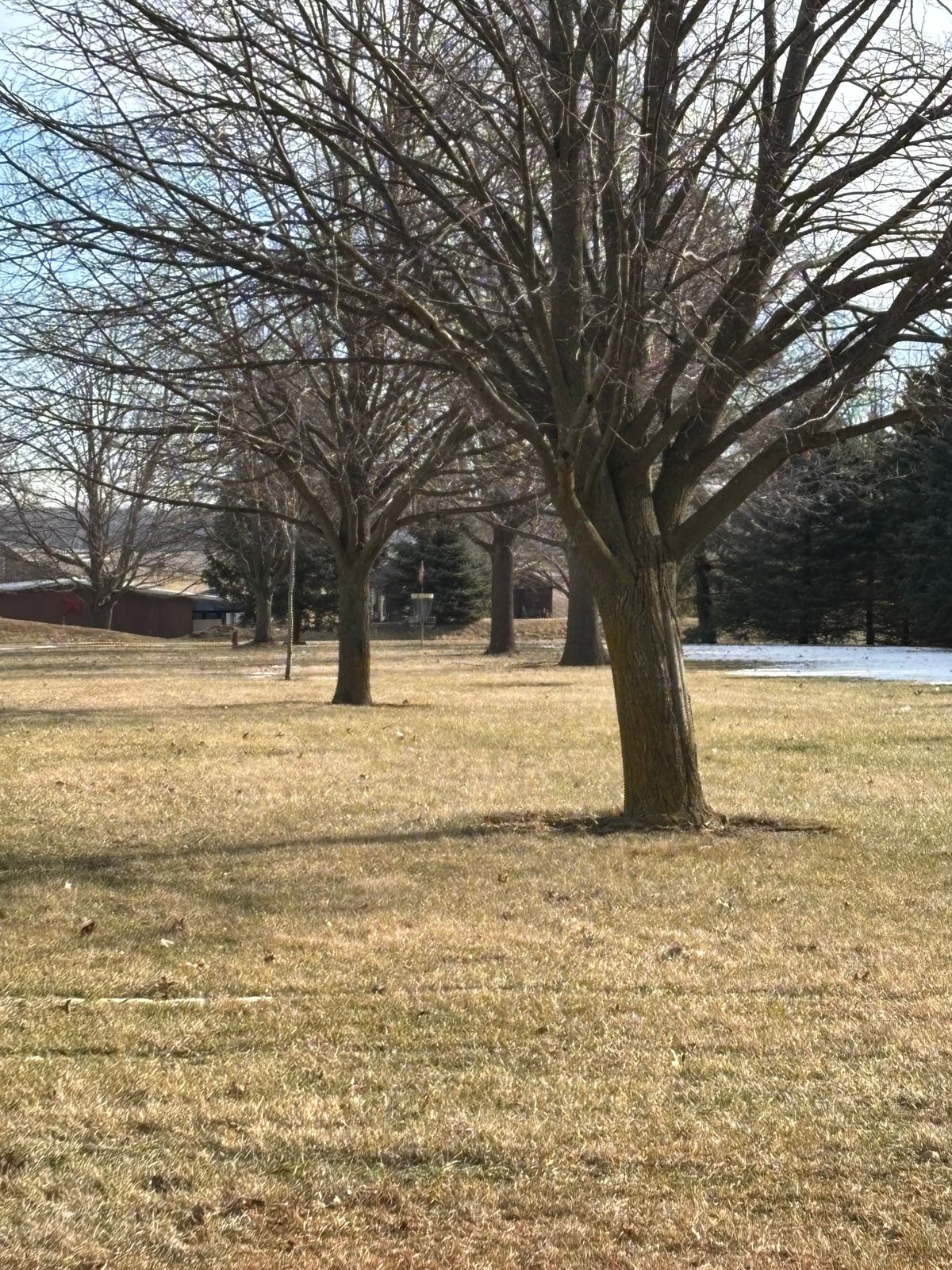 Hole 9 basket from long tee pad
