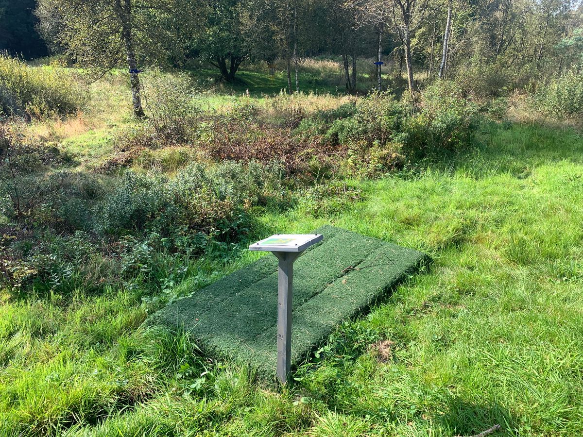 Tee pad 1.hull