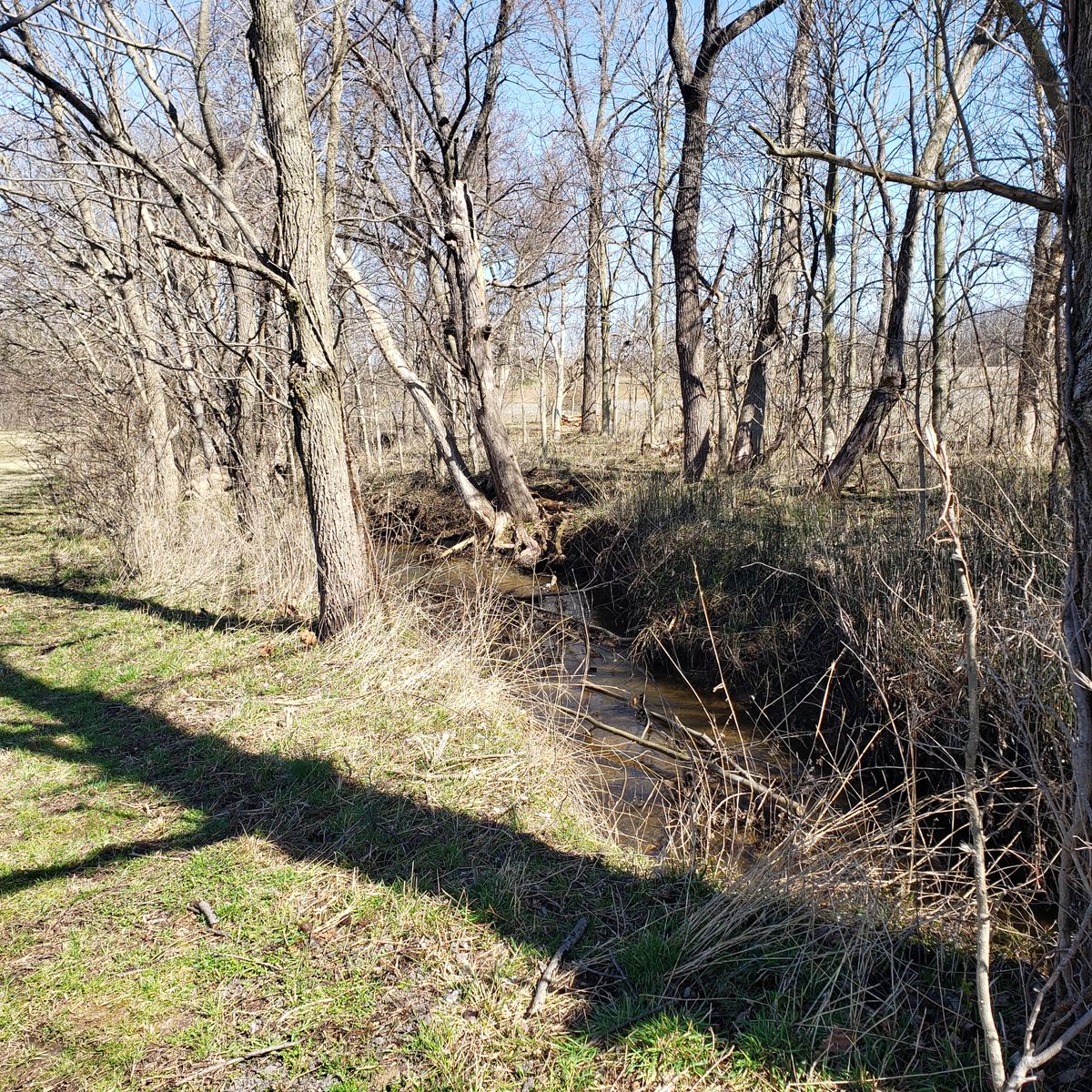Hole 14