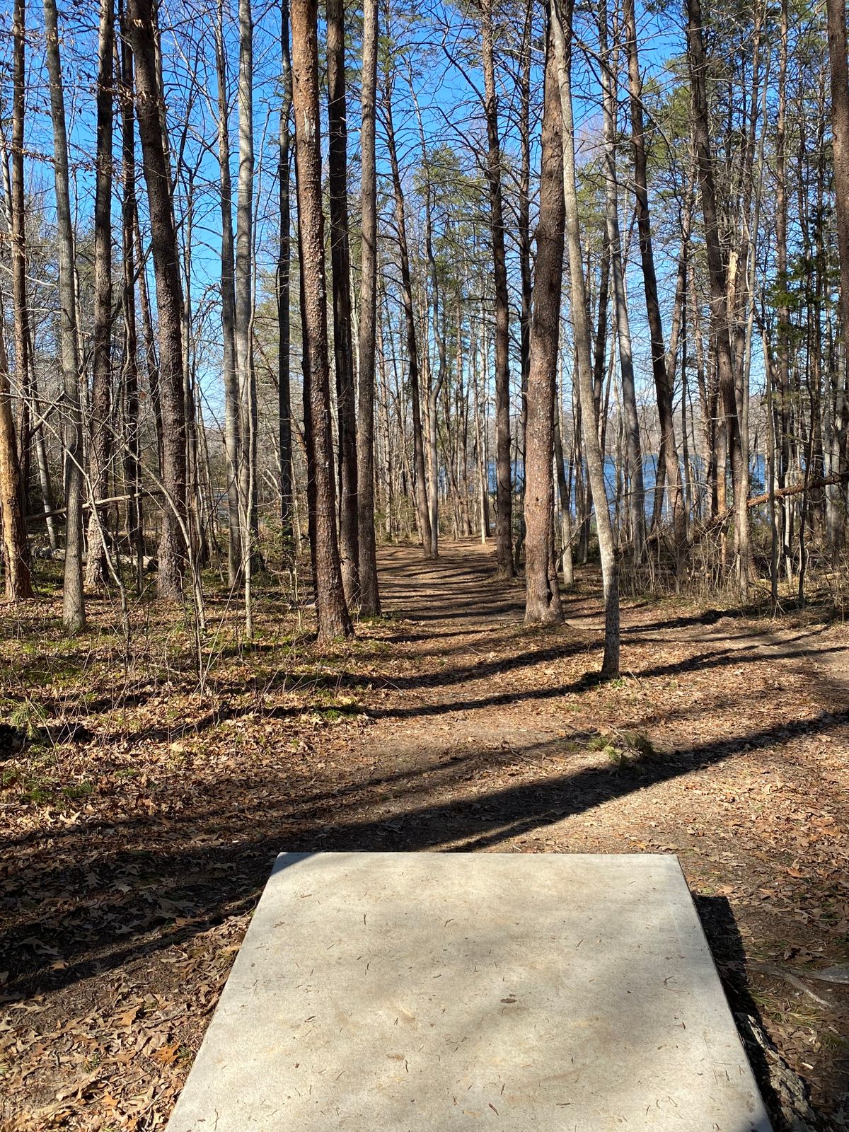 Hole 13 Intermediate tee