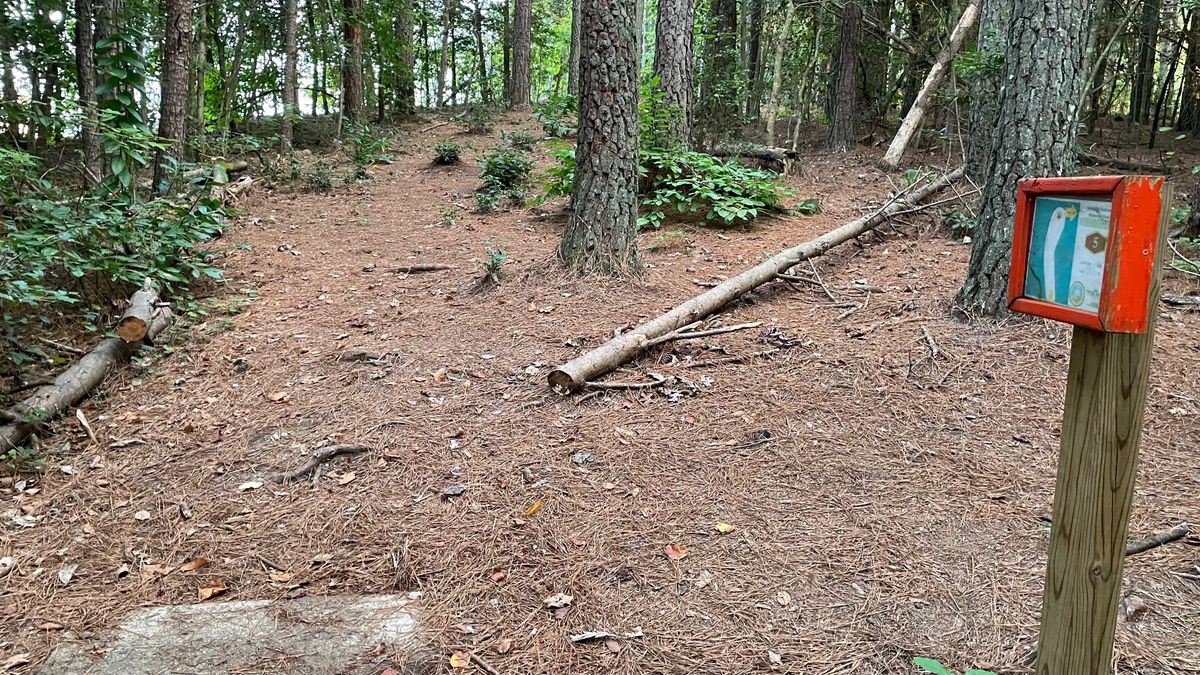 Hole 5