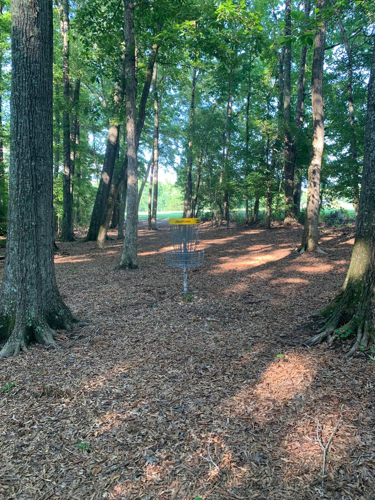 Hole 1 Basket.