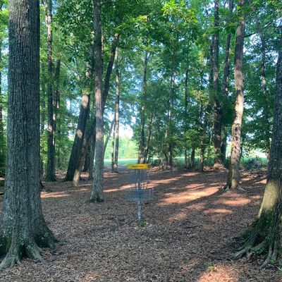 Hole 1 Basket.