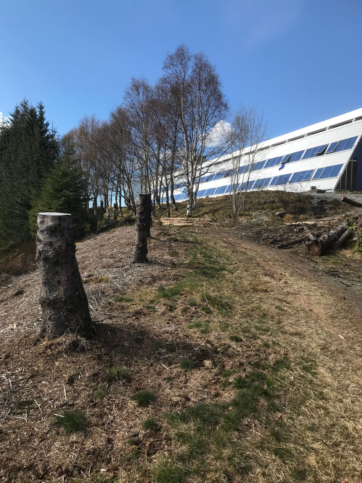 Hol 11 startar lenger nede enn dette og går innover på “kjærlighetsstien”